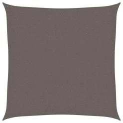 VidaXL Zonnescherm HDPE Vierkant 2x2 M Antraciet
